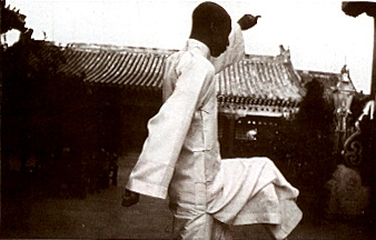 Emperor Puyi's Hakkyokuken